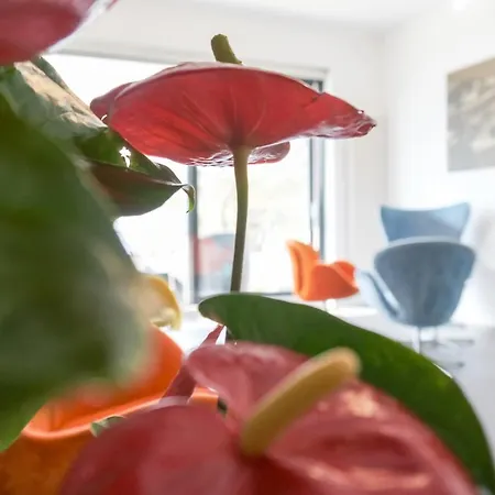 Otel Geranio Au 3*